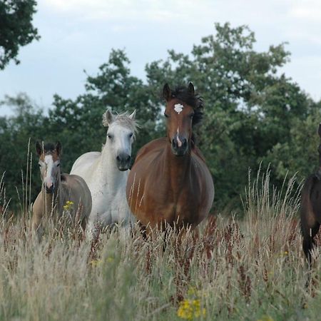 Petit Gite A La Ferme Villa Rosnay  ภายนอก รูปภาพ
