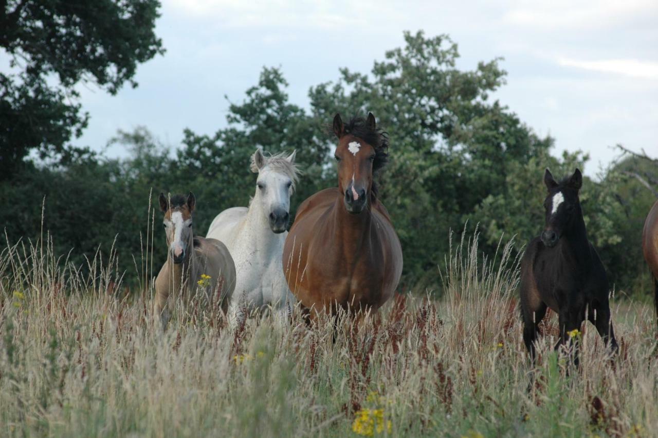 Petit Gite A La Ferme Villa Rosnay  ภายนอก รูปภาพ