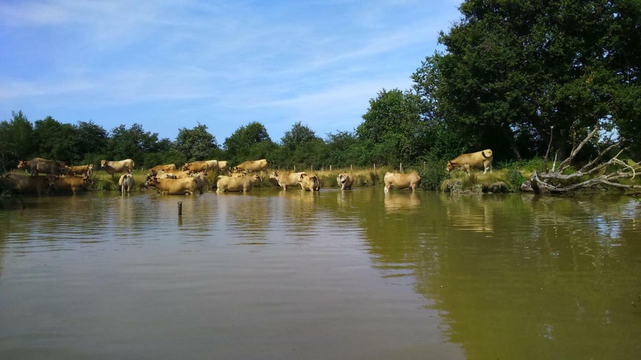 Petit Gite A La Ferme Villa Rosnay  ภายนอก รูปภาพ