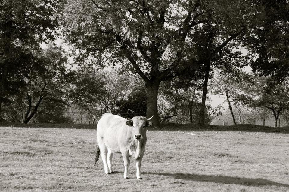 Petit Gite A La Ferme Villa Rosnay  ภายนอก รูปภาพ